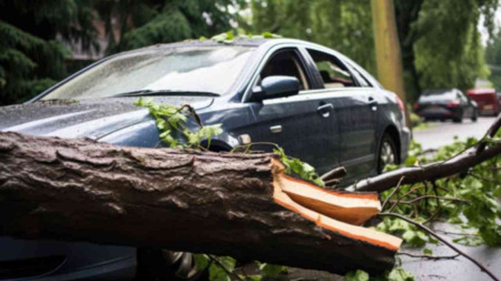 Danni auto, se ti cade un albero nel condominio non disperarti, c’è la soluzione