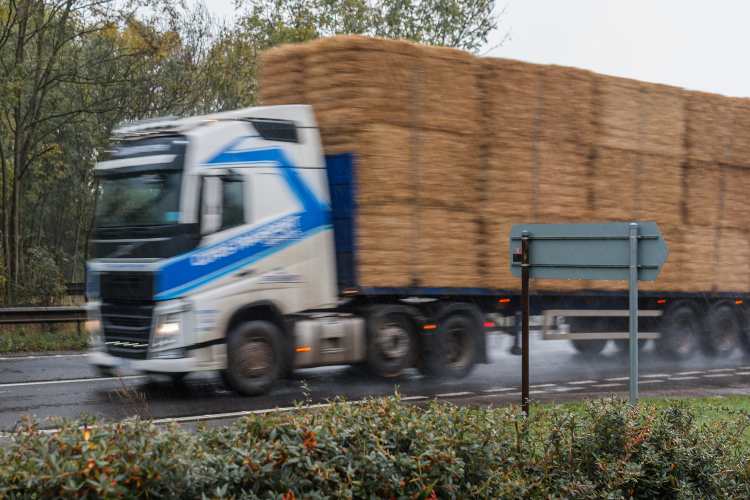 camion-trasporto-paglia-adobestock-solomotori.it