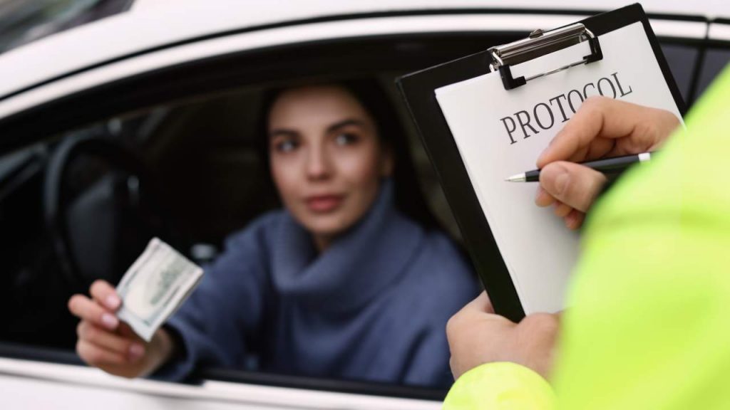 Mai senza a bordo: quando sali in auto, è impossibile rinunciare alla loro compagnia