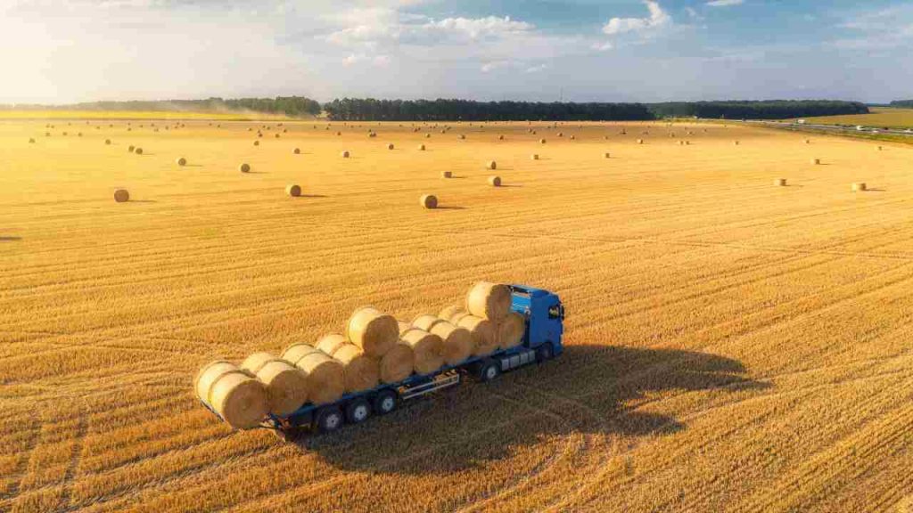 Camion pieni di paglia, se li vedi in strada fai attenzione: è cambiata la normativa, ecco cosa bisogna evitare